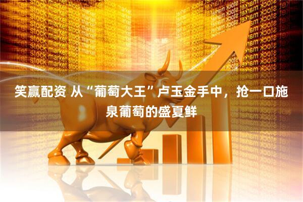 笑赢配资 从“葡萄大王”卢玉金手中，抢一口施泉葡萄的盛夏鲜