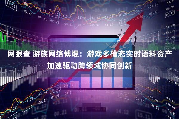 网眼查 游族网络傅焜：游戏多模态实时语料资产加速驱动跨领域协同创新