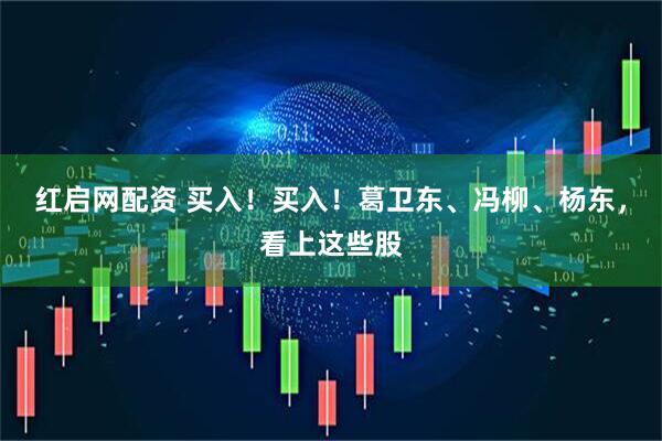 红启网配资 买入！买入！葛卫东、冯柳、杨东，看上这些股