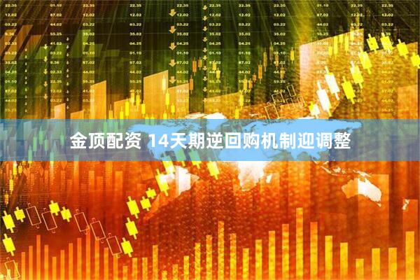 金顶配资 14天期逆回购机制迎调整