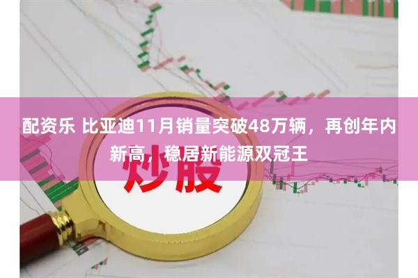 配资乐 比亚迪11月销量突破48万辆,再创年内新高,稳居新能源双冠王