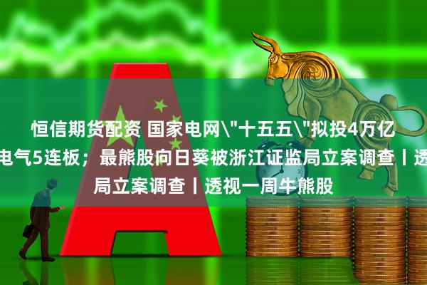 恒信期货配资 国家电网